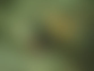 濁りの酷さは少し解消