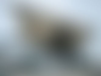 【10月25日(金)】久々に東京ビッグサイトへ