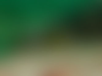 【5月22日】黄色い東側のアイドル