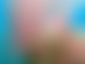 【3月17日】貝の産卵が凄まじく・・・