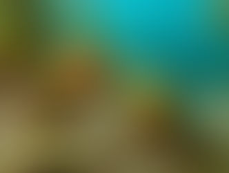 面白くて意欲が･･･