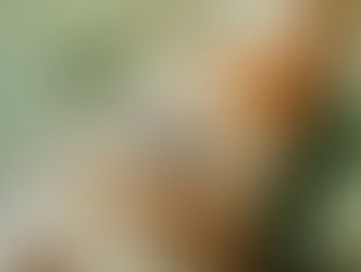 【10月4日(金)】あてずっぽうにひっくり返す