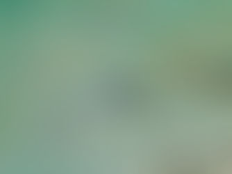 【10月4日(水)】ヒレネジ増えてまーす