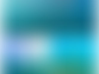 【11月22日(火)】只今のイチオシ