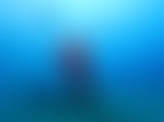 【10月8日(土)】朝イチのチェックで