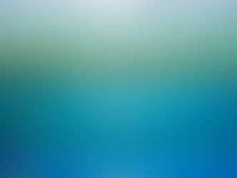 【7月17日(金)】夏らしい海の中