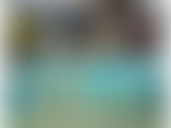 【11月24日(木)】水中ロケ