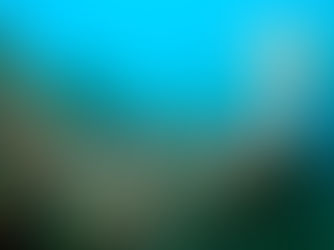 【9月13日(水)】解禁後の淡島の海中