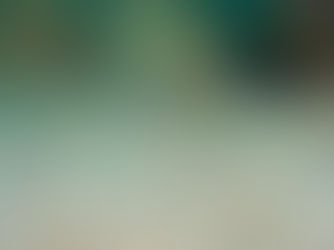 【10月15日(土)】いまや普通種に⁇