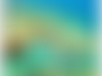 【8月1日(土)】透明度、復活!!