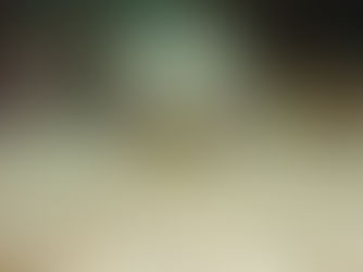 【5月14日】東の奥の瓶