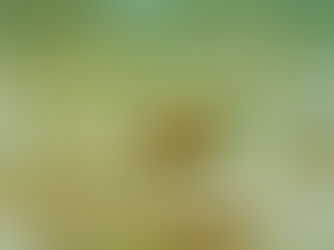 【1月20日】この時季の藻類って・・・