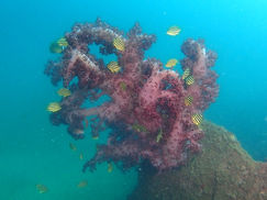 【9月22日】ふぅ~、4連休終了