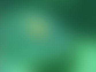 【11月22日(土)】幸運のクロダイ