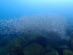 【10月28日】午前中はイイんだけど・・・