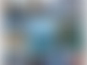 【7月29日(土)】サンゴ保全のお仕事体験
