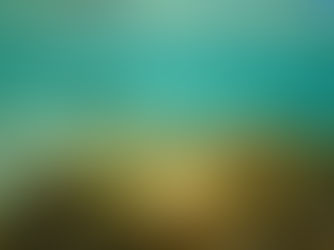 【1月22日】褐藻の光合成