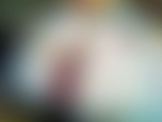 【11月29日(土)】シラヒゲウニに寄生するゼブラガニ