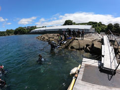 ウネリのウの字もなく・・・