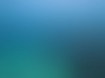 【12月25日】西側の魚の群れ