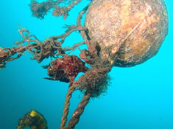 【10月9日】意外とクリアでキレイ♡