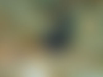 【1月6日(月)】見たことない魚
