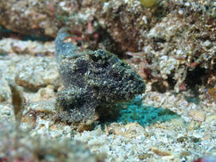 【3月6日(水)】透明度回復