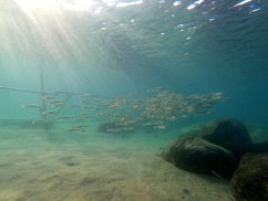 【10月1日】GoProで静止画って!?