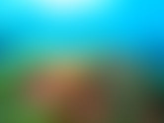 【3月20日(月)】浮き桟橋復活!!