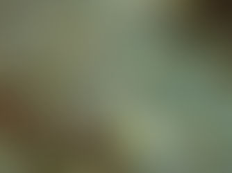 ここどこ!? 平沢ですが・・・