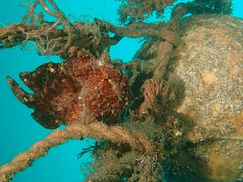 【10月17日】ふぅ・・・