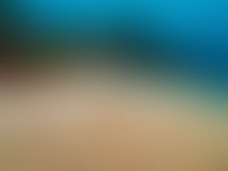 【4月29日】なんかいろいろおりまするよ