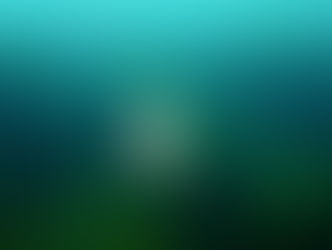 【11月18日(火)】久々に･･･