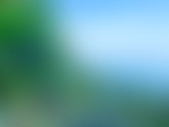 【10月23日(日)】レモネード畑より