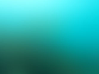 【8月16日】透明度・・・意外と良し!!