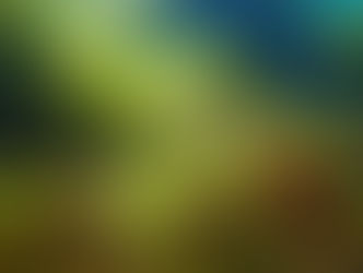 【2月21日】そろそろ海藻天国に