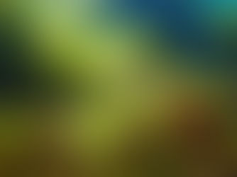 【2月21日】そろそろ海藻天国に