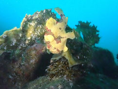 【10月17日(月)】よく見ると・・・