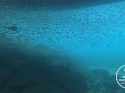 【1月12日】冬になっても相変わらずな・・・
