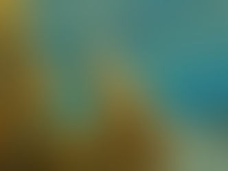 【8月9日(火)】海藻の役目