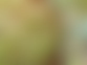 【12月19日】そろそろ海藻シーズン⁉