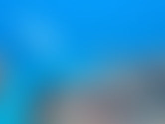 【4月23日】アオリイカの産卵が活発に・・・