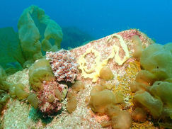 【3月22日(水)】旬と言えば旬で