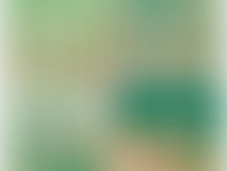【8月2日(土)】静かに身を潜めて
