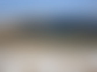 【3月5日】いや~吹きまくり(>_<)