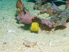 【11月1日(土)】可愛ければ･･･