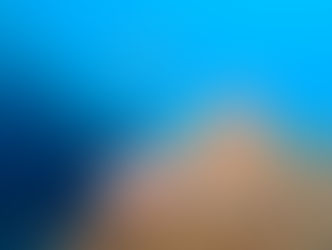 ぷちカエルアンコウ祭り!!