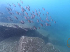 【9月7日】今日は西側!!