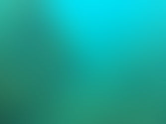 【6月28日】水温&透明度がアップ!!