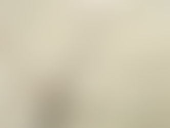 【9月1日(金)】大小のヨウジウオ